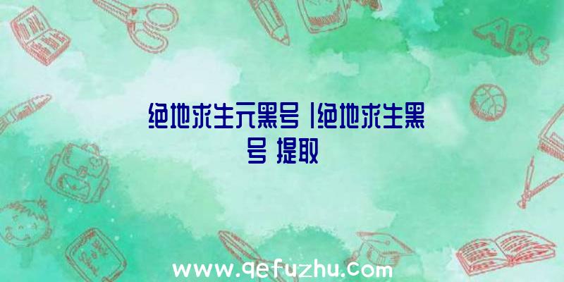 「绝地求生元黑号」|绝地求生黑号